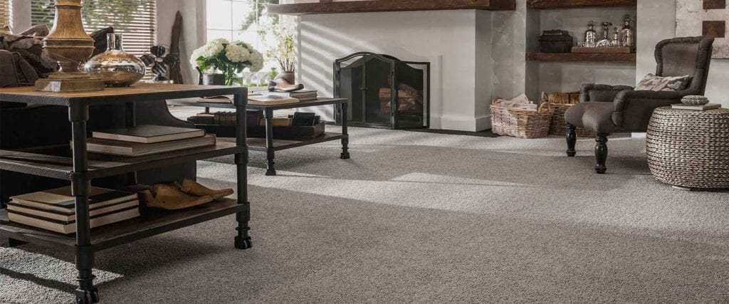 Dependable Carpet Care Living Room Carpet Dry-Cleaning